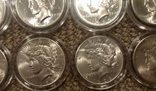 1925 - 1926 Silver Peace Dollar Set Of 10 BU 4