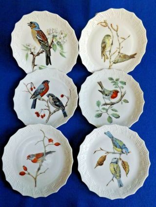 Set Of 6 Vintage Chastagner Limoges France Collectible Bird Plates 6 3/8”