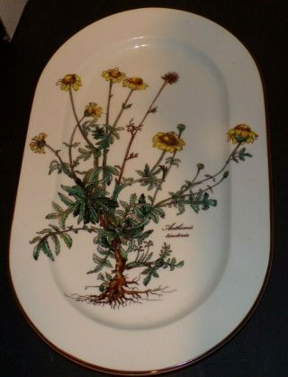 Villeroy & Boch Botanica Anthemis Tinctoria Oval Serving Platter Dish 13 " X 8 "
