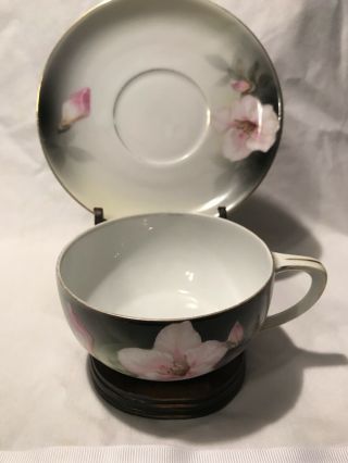 Rs Germany Tillowitz Silesia Tea Cup And Saucer