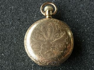 1894 Elgin 6 Size 11 Jewel Hunter Pocket Watch In Floral Case