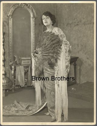 1921 Broadway Madam Petrova " White Peacock " Oversized Dbw Photo 3 By White - Bb