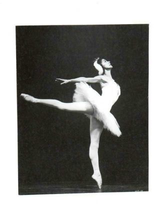Royal Ballet,  Margot Fonteyn As Odette,  " Swan Lake " Royal Opera House Photo