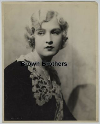 1920s Ziegfeld Follies Mary Eaton Oversized Dbw Photo Blind Stamp Hal Phyfe - Bb