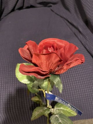 Broadway Beauty And The Beast Prop Rose Authentic
