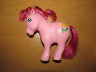 Vintage G1 My Little Pony: Alternate Birth Flower - November (1982,  Hasbro) Rare