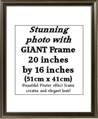 RARE FRAMED BON JOVI - Large GLOSSY Photo 20x16 inches - STUNNING 2