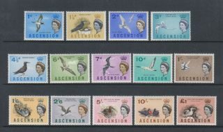 Ascension - 1963,  1d - £1 Complete Set Of Birds (14 Values) - Mnh - Sg 70/83