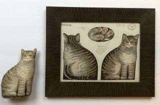 Rare Two 1892 Arnold Print Cat / Kitten: Doll & Framed Pattern Cloth