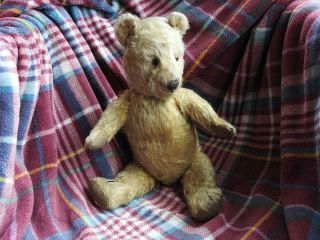 Farnell Alpha Vintage 1940s 15 " Golden Mohair Teddy Bear Fully Jointed 
