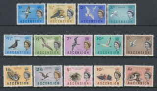 Ascension - 1963,  1d - £1 Complete Set Of Birds (14 Values) - M/m - Sg 70/83