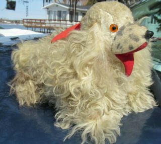 Antique Vintage Dog Mohair Spaniel Puppy Teddy Bear Farnell Steiff Bing Schuco ?