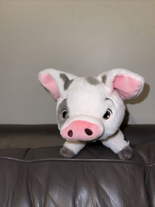 Disney Store Moana Pua Pig Plush Stuffed Animal Toy Soft 12 "