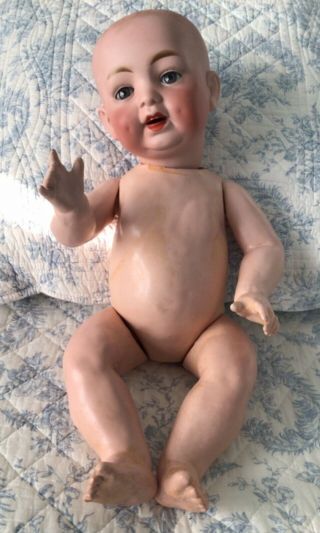 Hertel Schwab 3 - 11 18 " Character Baby Doll Solid Bisque Head Composition Body