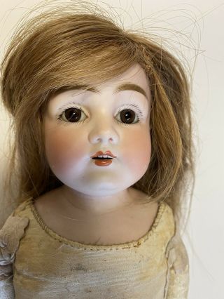 Antique Bisque Head Doll - 14 Inches Tall