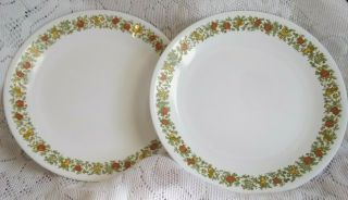 2 Corelle Spice Of Life 10 1/4 " Dinner Plates