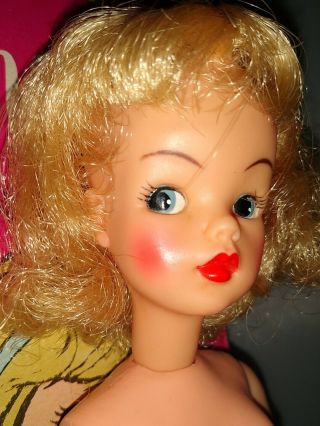 Vintage " Ideal Tammy Doll " Bs - 12 - 3 " Platinum " W / Box Very Amazing⭐