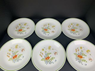 Set Of 6 Corelle Wildflower 8 - 1/2 " Luncheon Plates