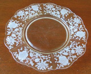 Cambridge Wildflower Clear 3900 22 8” Salad/luncheon Plate (s)