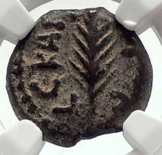 Biblical Jerusalem Saint Paul Nero Porcius Festus Ancient Roman Coin Ngc I70941