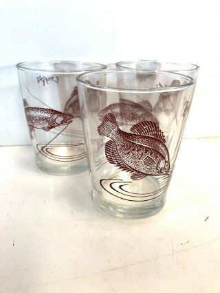 1 - Very Rare Sour Cream Glasses With Rainbow Trout/crappie - Never On Ebay