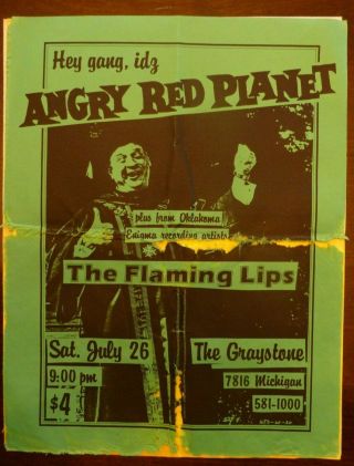 Vintage Detroit Punk Show Flyers (9) & Pariah Record Release Flyer,