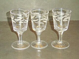 Set Of 3 Vintage Footed 4 - 1/4 " Cordial Glasses With Cut Floral Fern Pattern