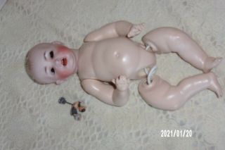 11 " Antique Baby Doll Hertel Schwab Dome Head 151 Tlc