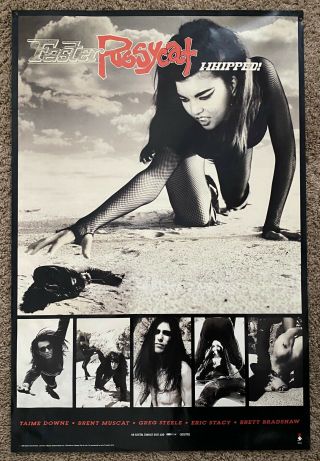 Faster Pussycat Whipped Promo Poster 30 " X 20 "