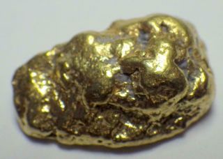 Gold Nugget Natural Alaska Placer 9.  167 Grams Ak Hunter Creek Hi Purity
