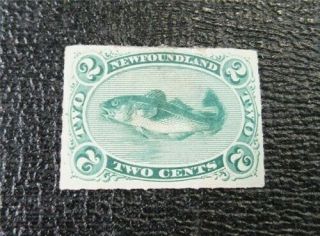 Nystamps Canada Newfoundland Stamp 38 Og H Un$300 Vf J29x2228