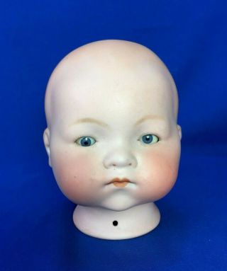 Antique Doll Head Am 341 Armand Marseille Dream Baby German Bisque W Blue Eyes