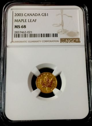 2003 Gold Maple Leaf - 1/20 Oz Ms 68 - 3950 Minted - 5 Graded By Ngc None Higher