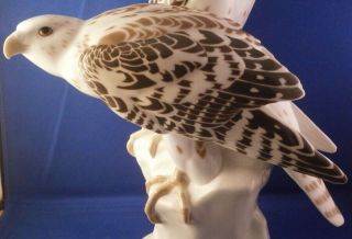 Art Nouveau Meissen Porcelain Falcon Pair Figurine Porzellan Falkenpaar Figur 3