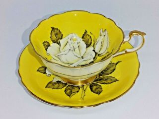 Paragon English Bone China White Cabbage Rose On Yellow Tea Cup & Saucer - Nr