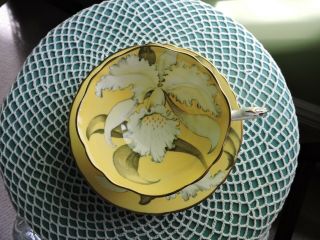 Stunning Paragon Orchid Tea Cup & Saucer Bright Yellow Fine Double Warrant