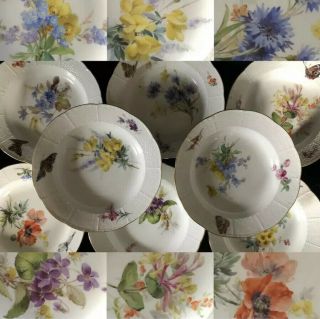 8 Antiques Meissen Porcelain Soups Plates Art Nouveau Naturalistisch