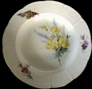 8 Antiques meissen porcelain Soups Plates Art Nouveau Naturalistisch 4
