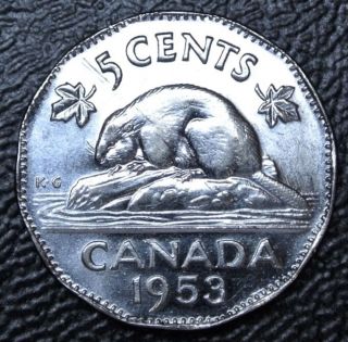 Old Canadian Coin 1953 Ss Far Leaf - 5 Cents - Elizabeth Ii - Rare