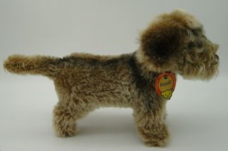 Lovely Vintage 50s Steiff Mohair Raudi Dachshund Dog With Button And Tag