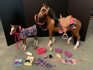 Our Generation American Horse And Fowl For 18 Inch Dolls With Accessories