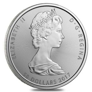 2017 Canada Niagara Falls 10 Oz Pure Silver Coin