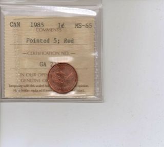 1985 Pointed 5 - 1 Cent Graded Canadian Iccs Ms - 65 Red