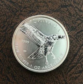 2015 Canada Silver Bird Of Prey Red Tail Hawk 1oz.  9999 Toned