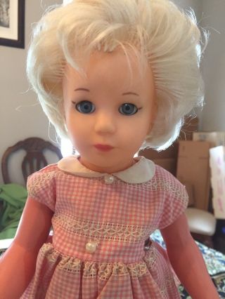 Vintage 1950s Kathe Kruse Tortise Doll 2