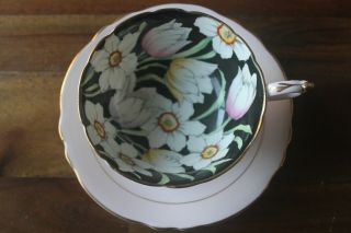 Paragon Black Tulip Daffodil pink Teacup Tea cup Saucer double warrant 2