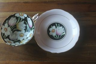 Paragon Black Tulip Daffodil pink Teacup Tea cup Saucer double warrant 3