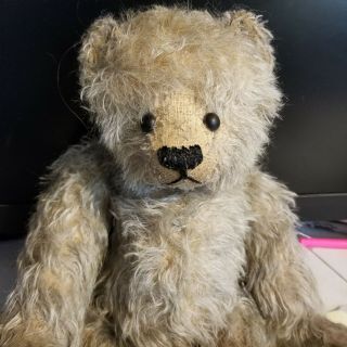 Elsie Norberry Bear 15 Inches Mohair Fully Jointed Neglecteds