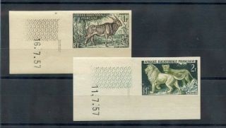 French Equatorial Africa Sc 195 - 8 (yt 238 - 41) Vf 1957 Nh Imperf Animal Set $125,