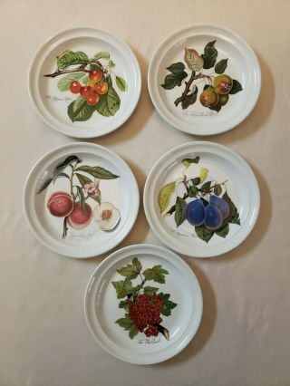Set Of 5 Portmeirion Pomona Salad/dessert Plates Rimmed Various Patterns